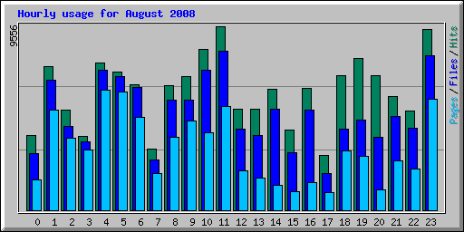 Hourly usage for August 2008